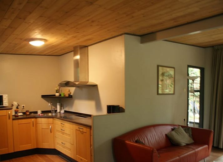 Ferienhaus in Holten, gelegen in der ruhigen Natur von Salland, Overijssel, mit einer ruhigen Terrasse und einem Teich, umgeben von gruenen Waeldern.