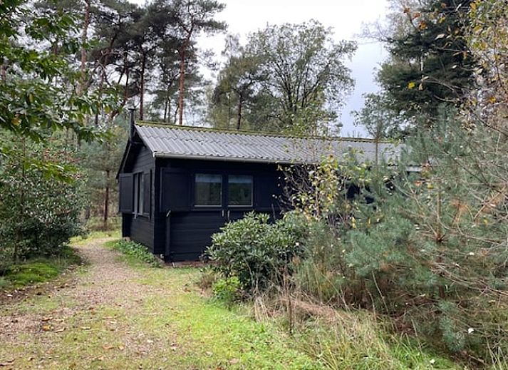 Vakantiehuis in Holten omgeven door groene natuur, ideaal voor rustzoekers in Salland, Overijssel.