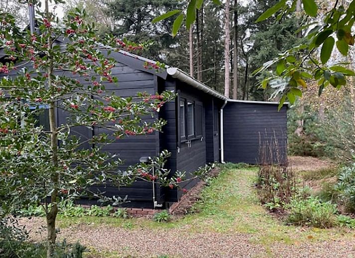 Vakantiehuis in Holten omgeven door groene natuur, ideaal voor rustzoekers in Salland, Overijssel.