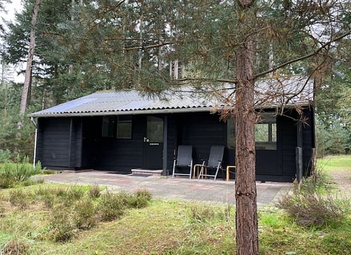 Vakantiehuis in Holten omgeven door groene natuur, ideaal voor rustzoekers in Salland, Overijssel.