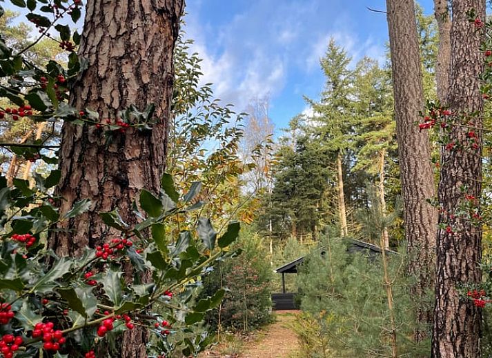Zijaanzicht van Vakantiehuis in Holten, omgeven door bomen in het prachtige Salland, Overijssel.