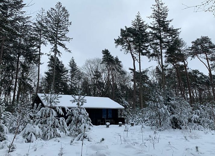 Zijaanzicht van Vakantiehuis in Holten, omgeven door bomen in het prachtige Salland, Overijssel.