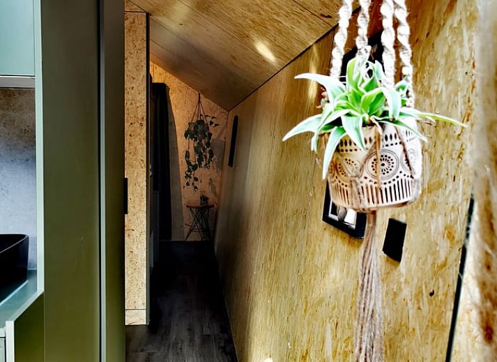 Geniessen Sie die Ruhe auf der Veranda des Ferienhauses in Holten, das im gruenen Salland in Overijssel liegt.