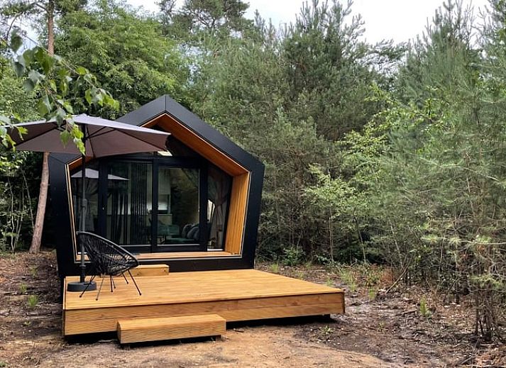 Gemuetlicher Innenbereich des Ferienhauses in Holten, Overijssel, mit bequemen Stuehlen und Blick auf die Landschaft von Salland.