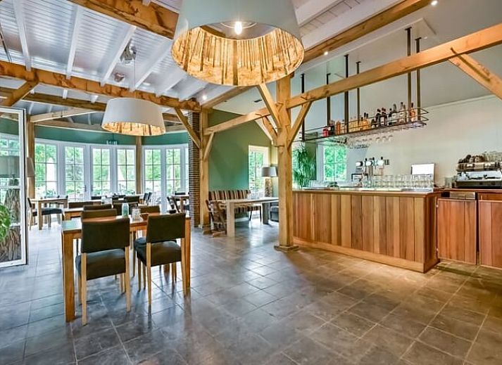 Gemuetlicher Innenbereich des Ferienhauses in Holten, Overijssel, mit moderner Einrichtung und natuerlichem Licht im Wohnzimmer.