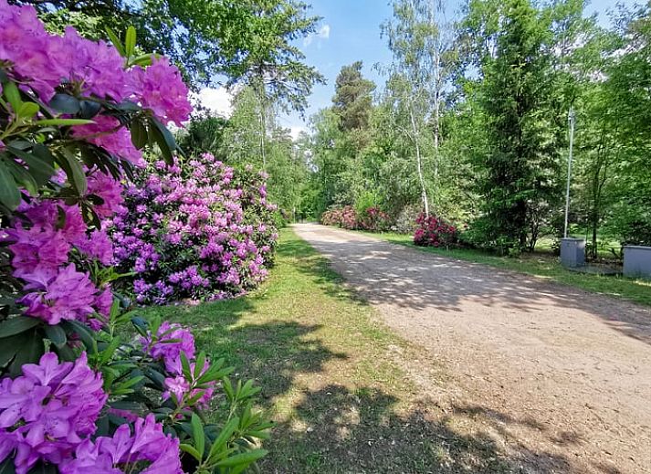 Gemuetlicher Innenbereich des Ferienhauses in Holten, Overijssel, mit moderner Einrichtung und natuerlichem Licht im Wohnzimmer.