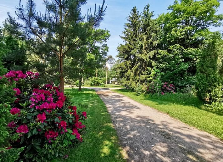 Gemuetlicher Innenbereich des Ferienhauses in Holten, Overijssel, mit moderner Einrichtung und natuerlichem Licht im Wohnzimmer.