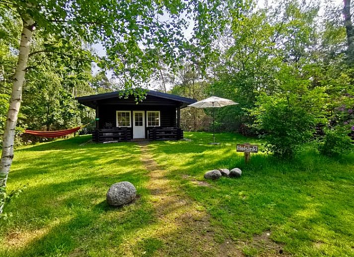Rustic vacation home Cottage in Holten surrounded by green nature in Salland, Overijssel. Enjoy serene forest surroundings and relaxation.