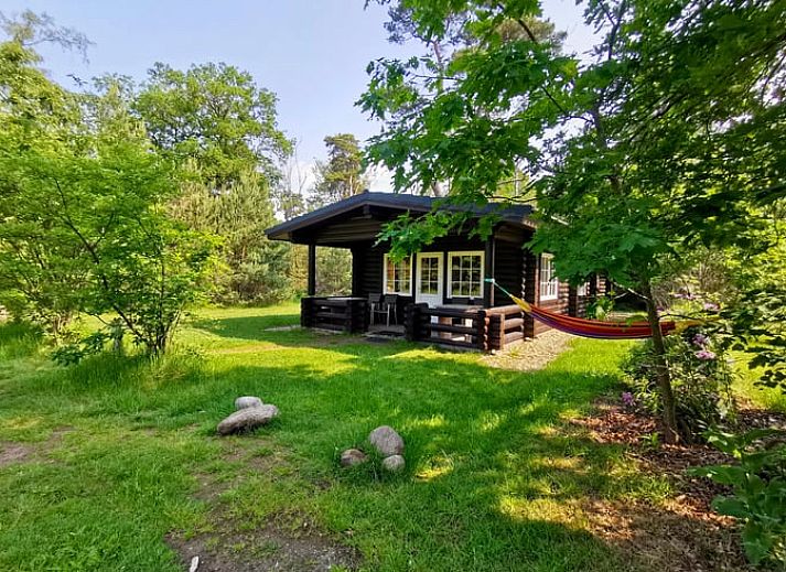 Cottage in Holten, a charming vacation home in the green surroundings of Holten, Salland, Overijssel, with rustic atmosphere and serene nature.