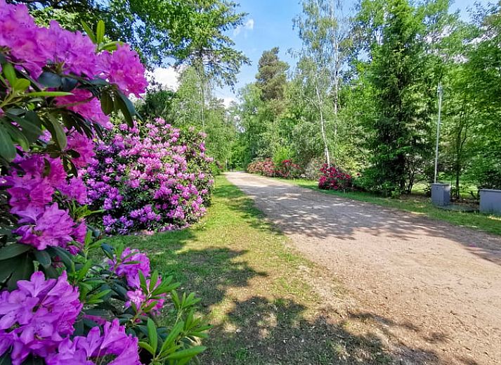 Cozy bathroom in Cottage in Holten, a vacation home in Holten, Salland, Overijssel with wooden interior and freestanding bathtub.