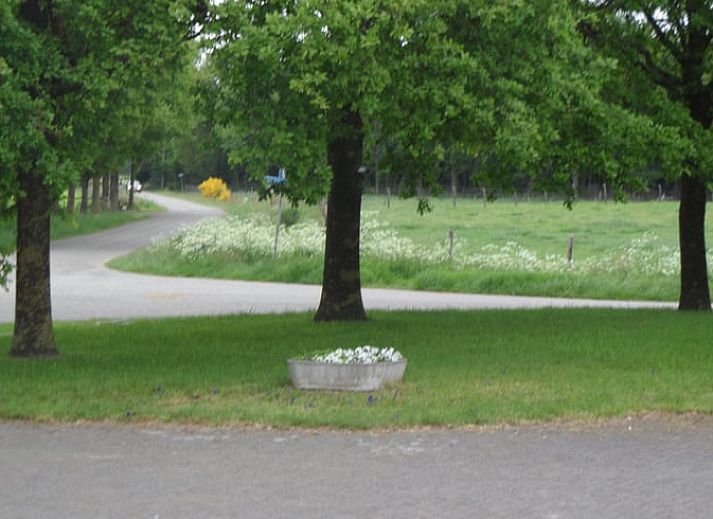 Unterkunft 530299 - Ferienhaus Salland - Vakantiehuis in Holten