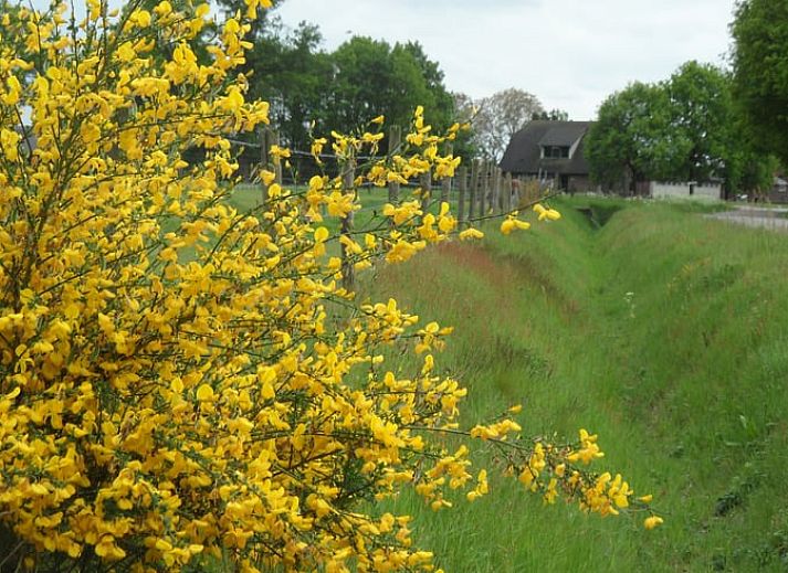 Unterkunft 530299 - Ferienhaus Salland - Vakantiehuis in Holten