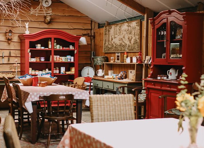 Unterkunft 530302 - Ferienhaus Salland - Huisje in Schalkhaar