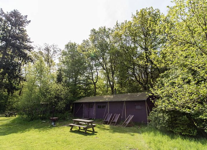 Unterkunft 530302 - Ferienhaus Salland - Huisje in Schalkhaar