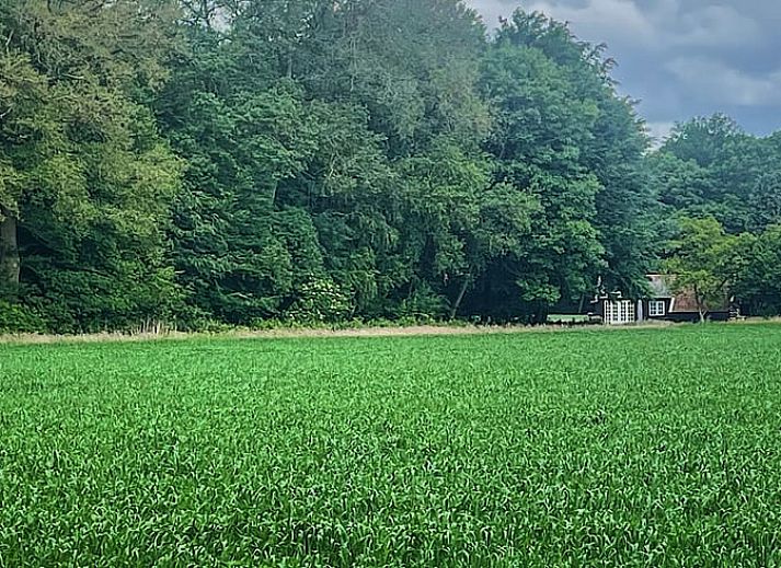 Gezellige woonkamer van Vakantiehuisje in Wijhe, Salland met comfortabele bank en eetruimte.