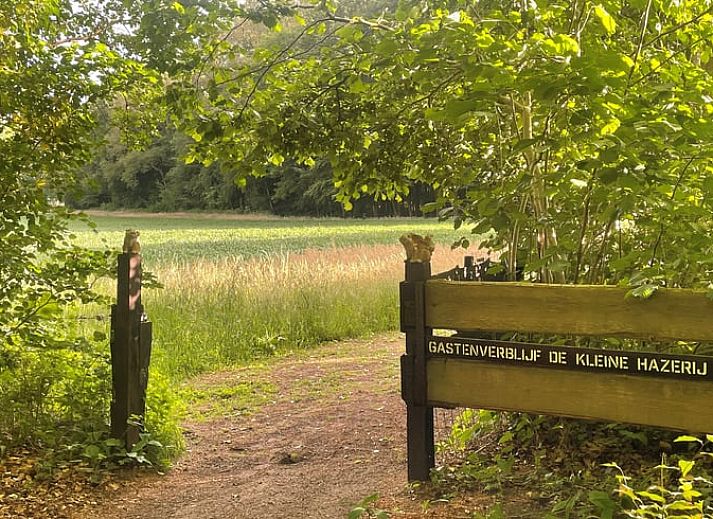 Gezellige woonkamer van Vakantiehuisje in Wijhe, Salland met comfortabele bank en eetruimte.