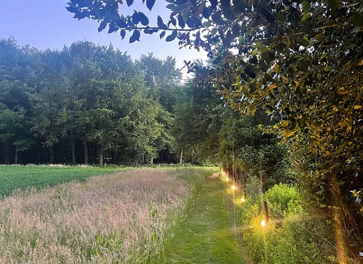 Gezellige woonkamer van Vakantiehuisje in Wijhe, Salland met comfortabele bank en eetruimte.