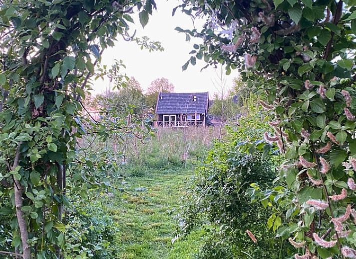 Cottage in Wijhe with wooden veranda in Salland, Overijssel.