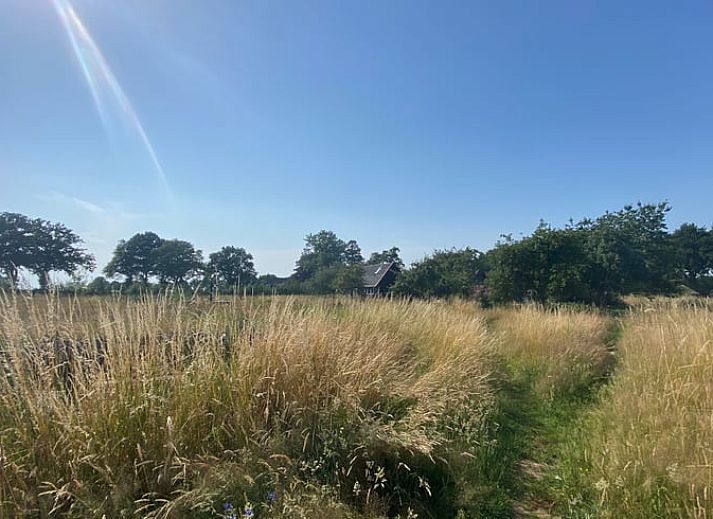 Aerial view of Cottage in Wijhe and surrounding nature in Salland, Overijssel.