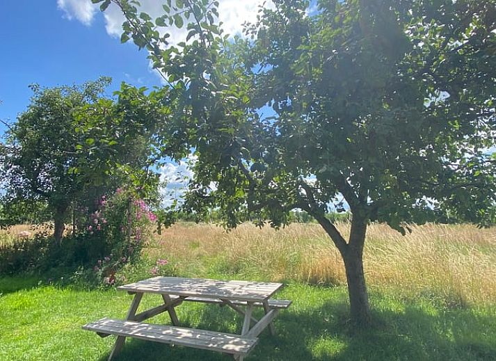 Barbecue on terrace with view at Holiday home in Wijhe, Salland, Overijssel.