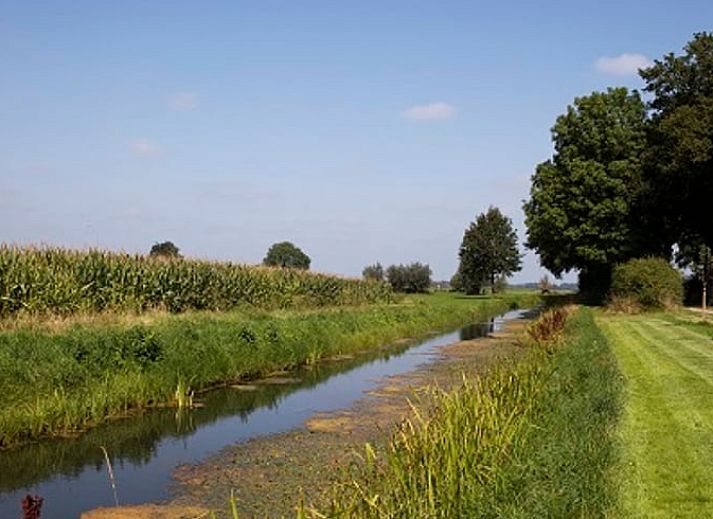 Ingang van Vakantiehuisje in Wijhe omringd door groen, Salland.