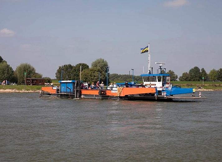 Eetkamer in Vakantiehuisje in Wijhe met boswanddecor, Salland.
