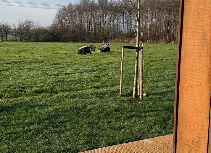 Unterkunft 530510 - Ferienhaus Salland - Vakantiehuisje in Wijhe