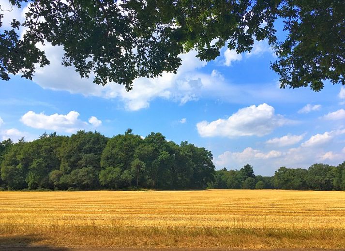 Comfortabel terras bij boerderijhuisje.nl in Luttenberg, vakantiehuis in Salland, Overijssel omringd door natuur.