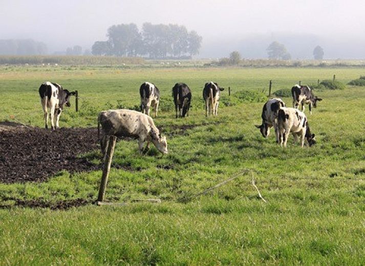 Comfortabel terras bij boerderijhuisje.nl in Luttenberg, vakantiehuis in Salland, Overijssel omringd door natuur.