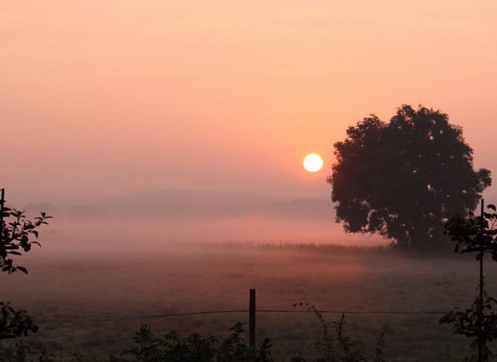 Zonnig terras met ligstoelen bij boerderijhuisje.nl in Luttenberg, vakantiehuis in Salland, Overijssel voor ultieme ontspanning.