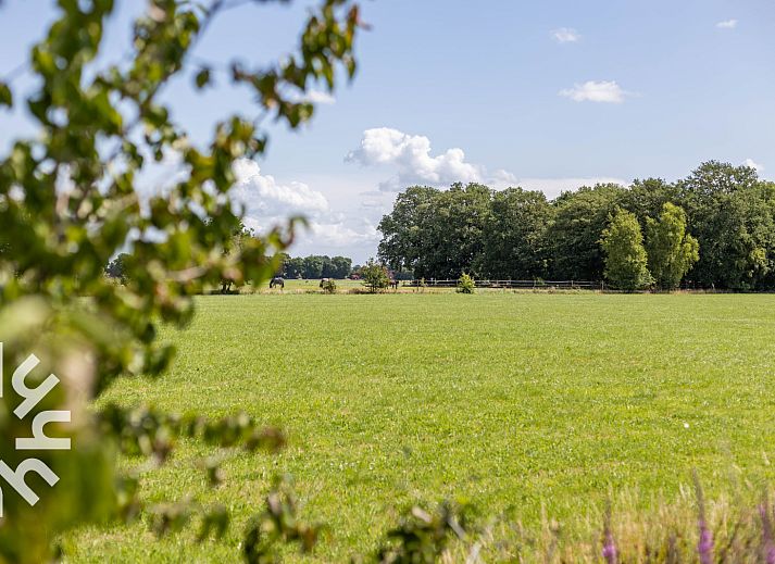 Ferienhaus OV243 in Luttenberg, Overijssel mit sonniger Terrasse und gruener Umgebung.