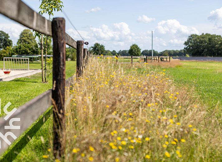 Terrasse mit Sonnenschirm im Ferienhaus OV243 in Luttenberg, ideal zum Entspannen.