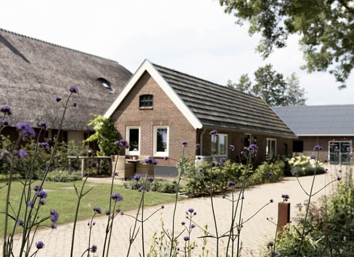 Unterkunft 530613 - Ferienhaus Salland - Vakantiehuisje in Luttenberg