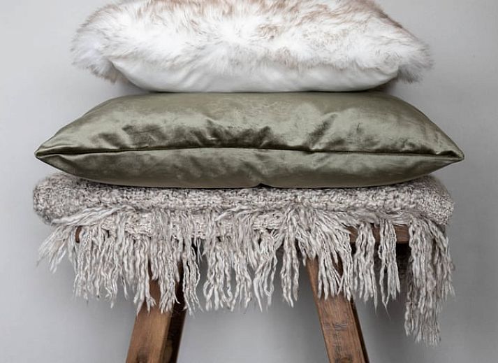 Unterkunft 530613 - Ferienhaus Salland - Vakantiehuisje in Luttenberg