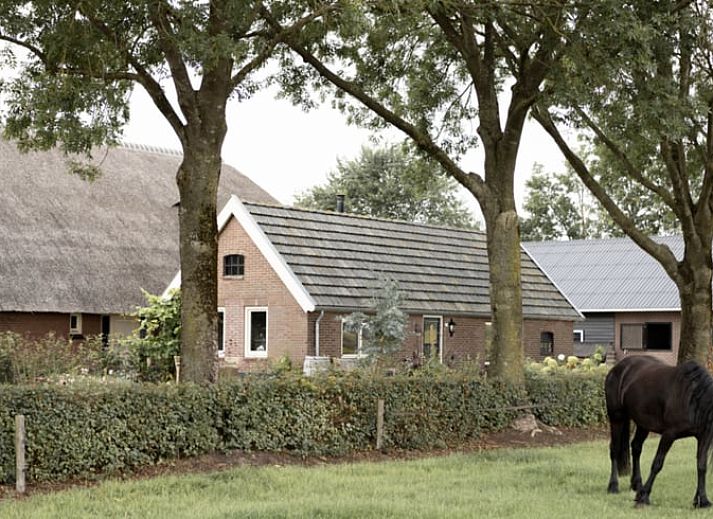 Unterkunft 530613 - Ferienhaus Salland - Vakantiehuisje in Luttenberg