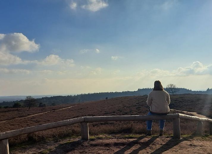 Unterkunft 530613 - Ferienhaus Salland - Vakantiehuisje in Luttenberg