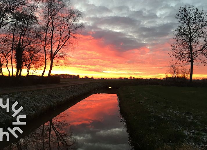 Groene tuin rondom OV528 vakantiehuis in Zwolle, perfecte plek voor ontspanning in Salland, Overijssel