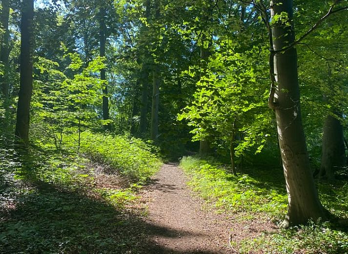 Unterkunft 530912 - Ferienhaus Salland - Vakantiehuisje in Zwolle