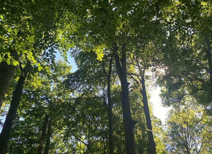 Unterkunft 530912 - Ferienhaus Salland - Vakantiehuisje in Zwolle