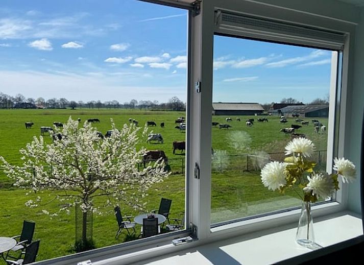 Verblijf 531003 - Vakantiewoning Salland - Vakantiehuisje in Raalte
