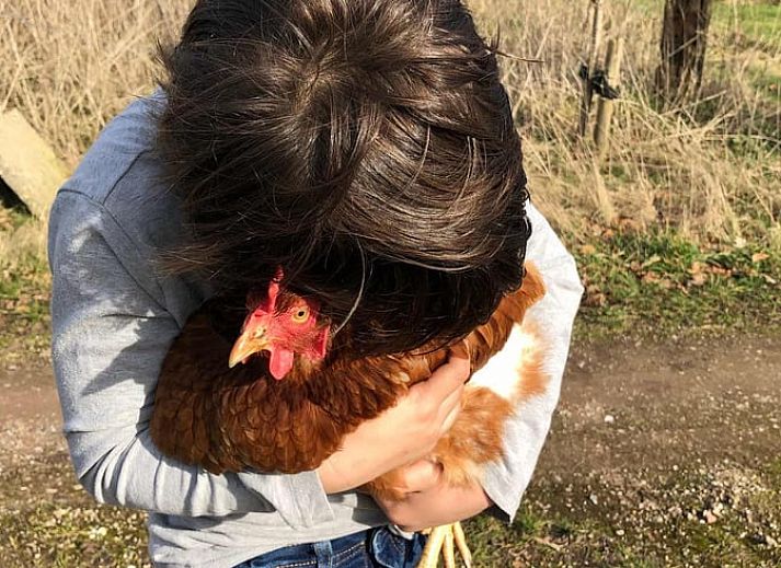 Cozy living room in Cottage in Raalte, vacation home in Salland, Overijssel.