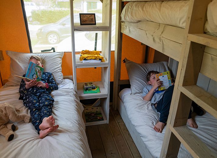 Unterkunft 531009 - Ferienhaus Salland - Rangerlodge