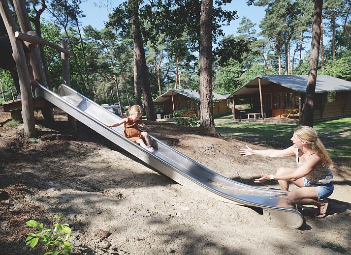 Guest house 531012 - Holiday property Salland - Safarilodge deluxe