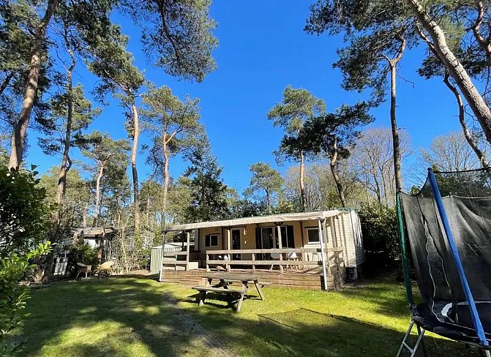 Guest house 531016 - Chalet Salland - Huisje Sillie op 5* Krieghuusbelten