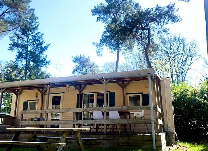 Guest house 531016 - Chalet Salland - Huisje Sillie op 5* Krieghuusbelten