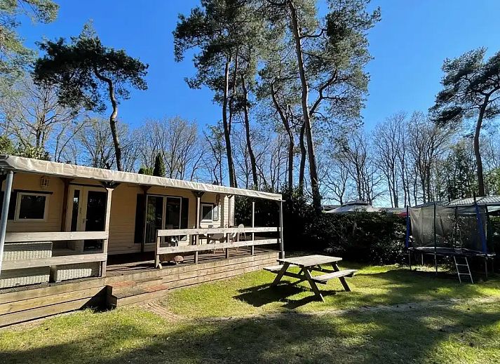 Guest house 531016 - Chalet Salland - Huisje Sillie op 5* Krieghuusbelten