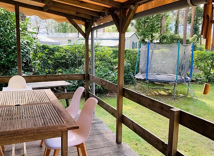 Guest house 531016 - Chalet Salland - Huisje Sillie op 5* Krieghuusbelten