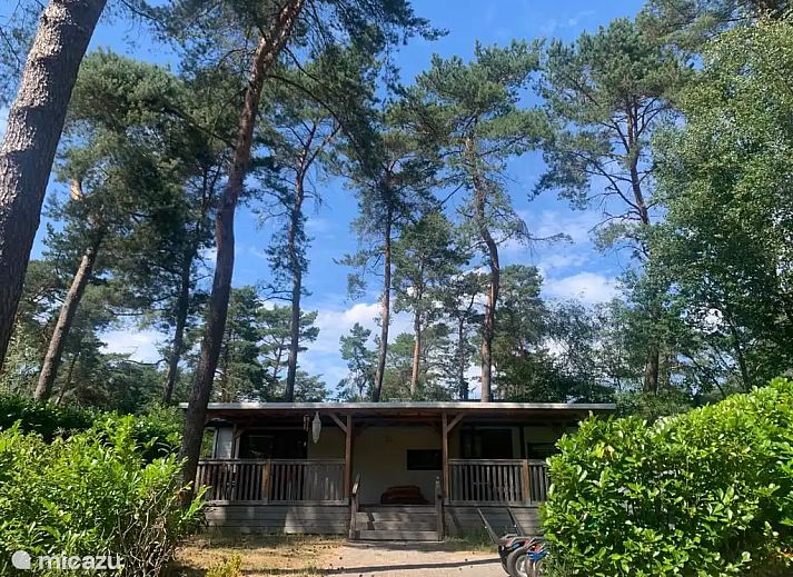 Guest house 531021 - Chalet Salland - Huisje Veronica