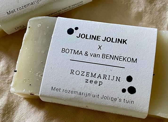 Helles Wohnzimmer im Ferienhaus in Welsum mit Blick auf die Natur von Salland, Overijssel.