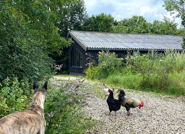 Stilvolles Esszimmer im Ferienhaus in Welsum mit modernen Pendelleuchten und Esstisch aus Holz.